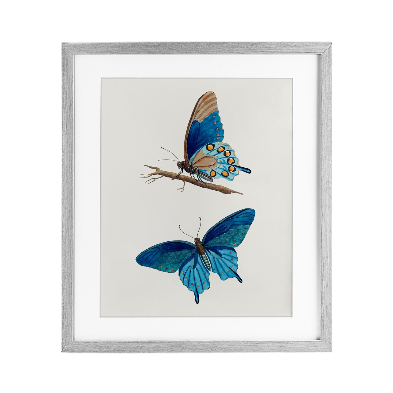 Stupell Industries Blue Butterflies Pair Framed Print Under Glass, design by Arlington Prints